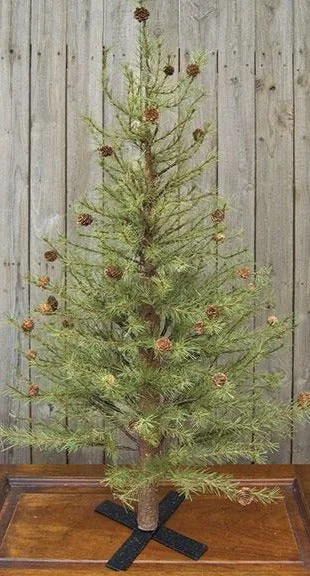 Cypress Pine Tree, 4 ft.