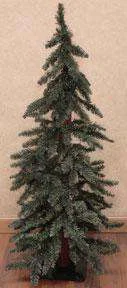 Downswept Alpine Tree, 3 ft