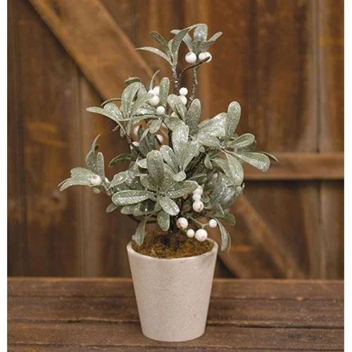 Ice Kissed Potted Mistletoe Tree