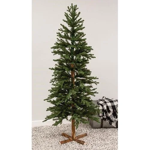 Olympus Spruce Tree, 6ft