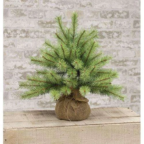 Park Pine Little Giant Tree, 15"