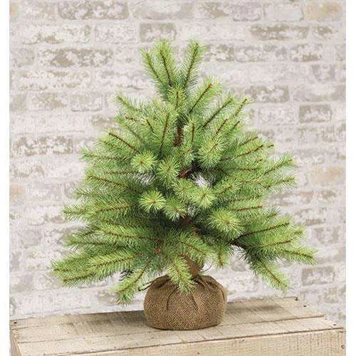 Park Pine Little Giant Tree, 21"