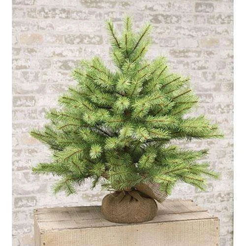 Park Pine Little Giant Tree, 26"