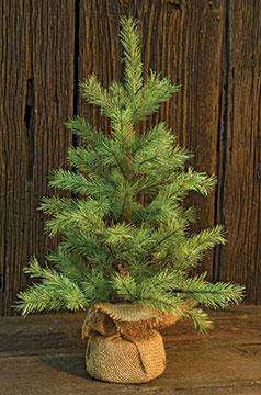 Rocky Mountain Pine Tree, 18"