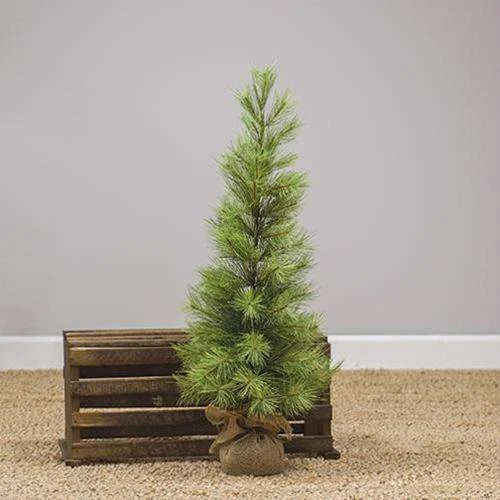 Slim Long Needle Pine Tree, 3 Ft