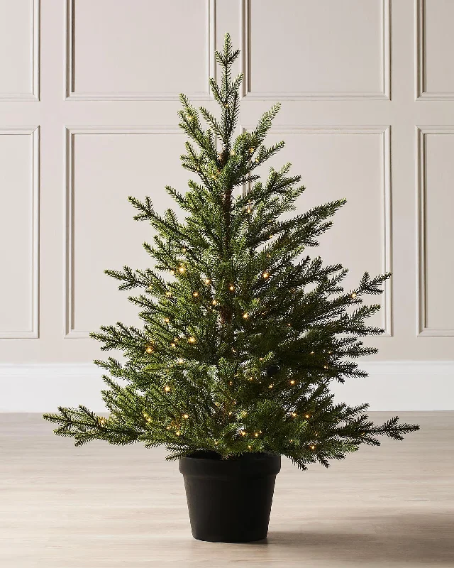 Pre-Lit Potted Douglas Fir Christmas Tree, 3 ft