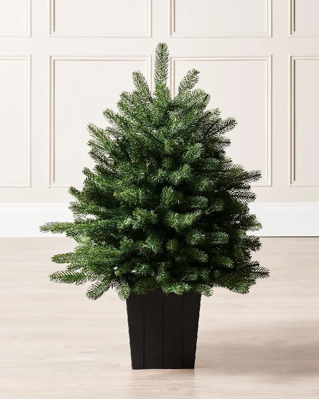 Mixed Pine Traditional Potted Christmas Tree, 3 ft